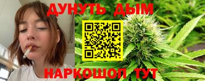 крисы Будённовск
