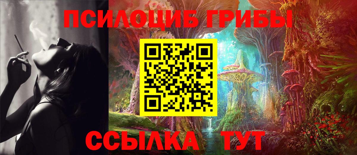 Галлюциногенные грибы Psilocybe Кумертау